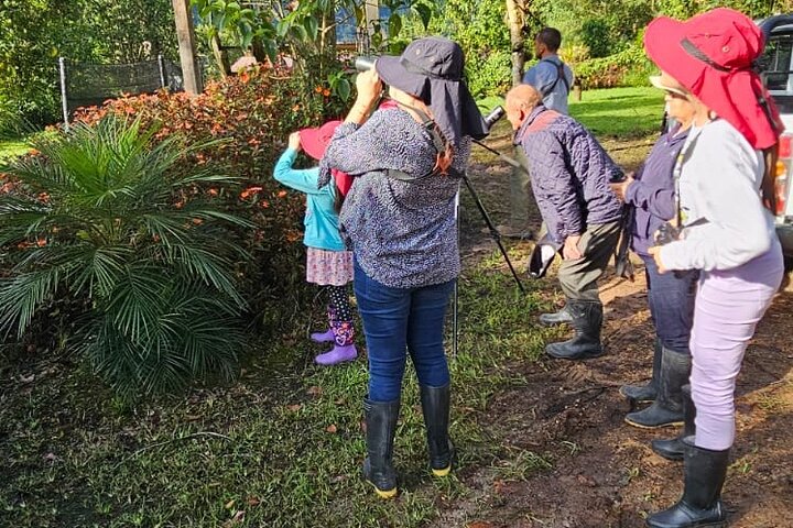 Mindo Cloud Forest Birdwatching & Photography - Private Day Tour