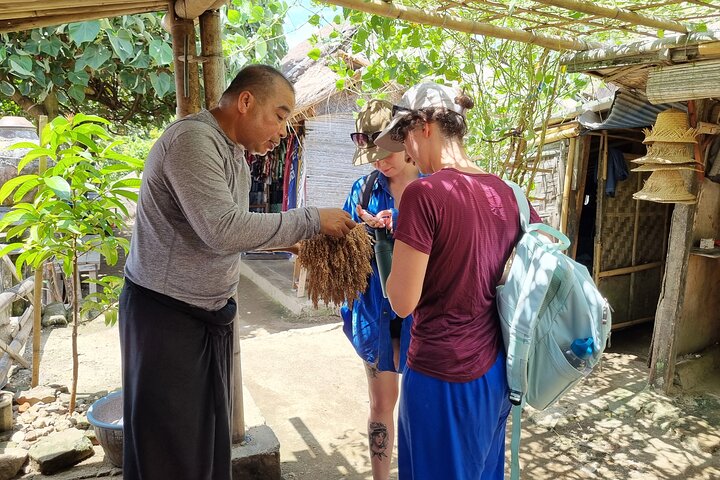 Lombok Private Customize Tour