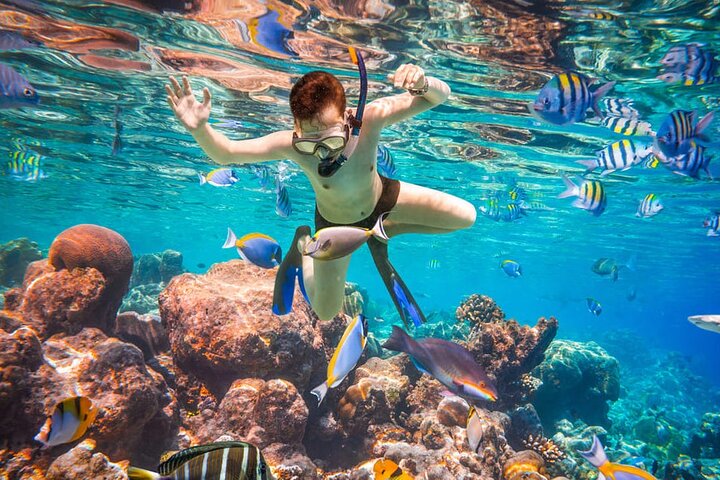 Bali Blue Lagoon Snorkeling with Lunch & Private Hotel Transfer