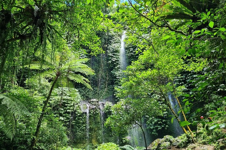 Lombok Private Tour Waterfall And Traditional Village Including Beach