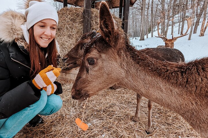 Ottawa Parc Omega Private Tour with Hotel Transfer