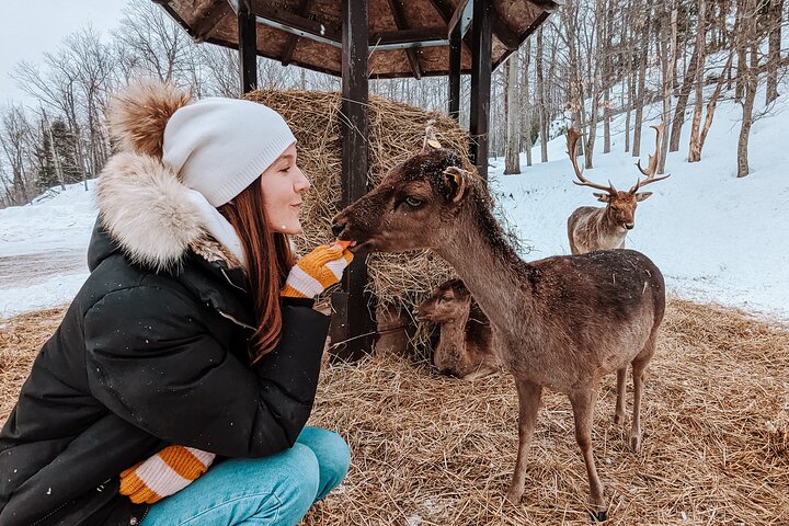 Ottawa Parc Omega Private Tour with Hotel Transfer
