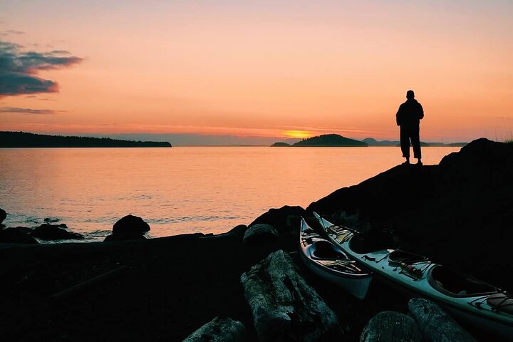 Bioluminescence Kayak Tour in the San Juan Islands