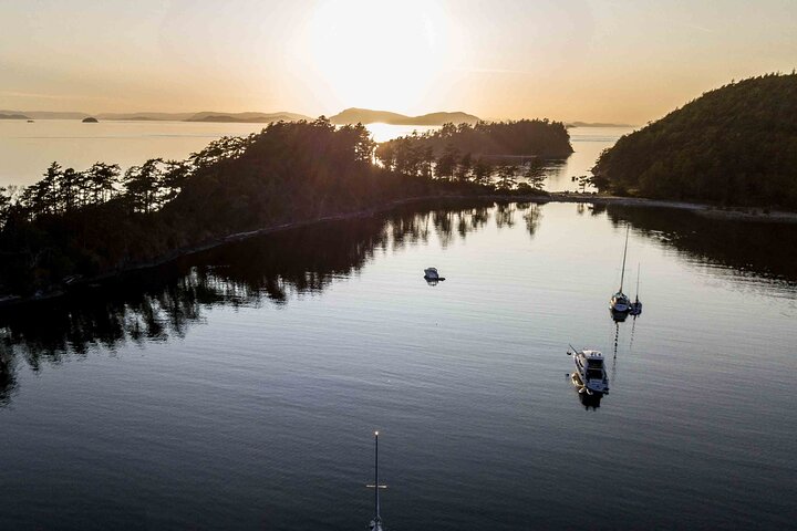 Bioluminescence Kayak Tour in the San Juan Islands