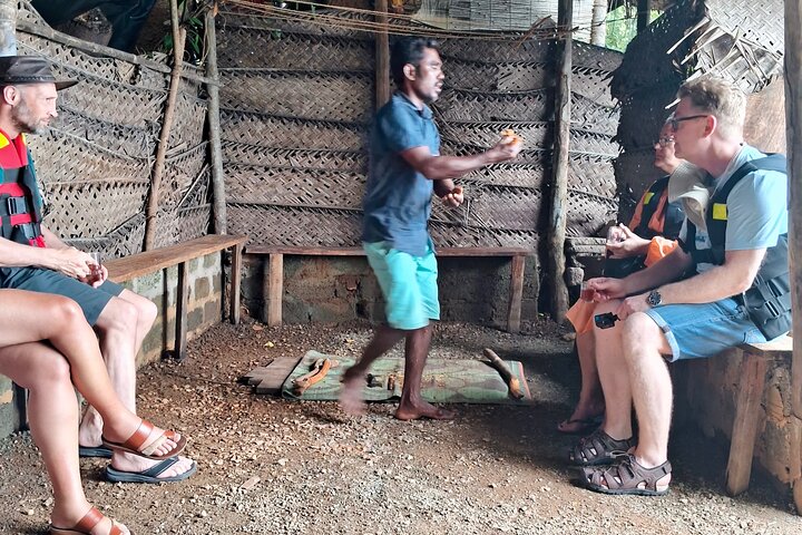 Southern Sri Lanka Sightseeing Day Trip From Colombo & Negombo