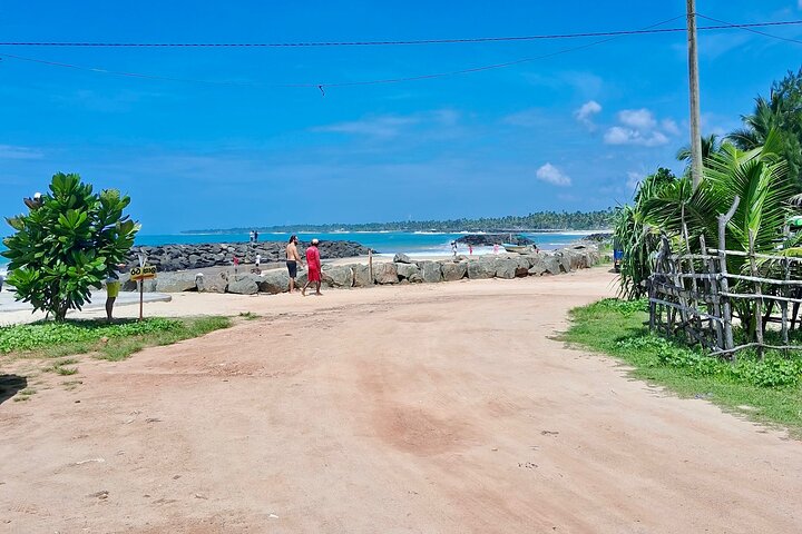 Southern Sri Lanka Sightseeing Day Trip From Colombo & Negombo