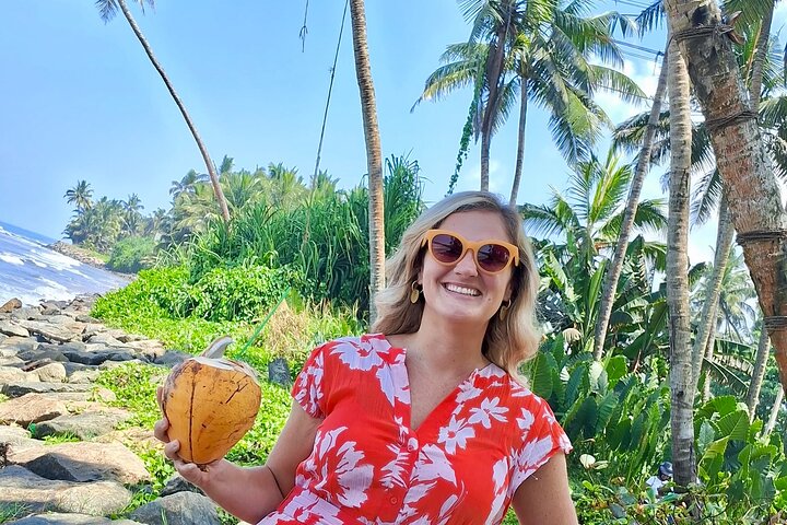 Southern Sri Lanka Sightseeing Day Trip From Colombo & Negombo