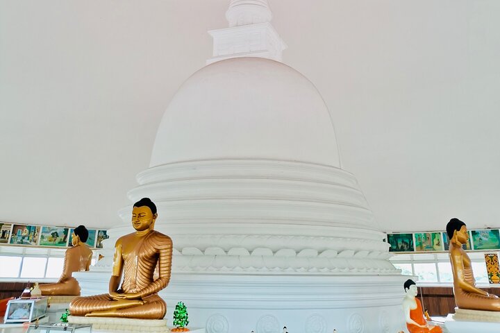 Southern Sri Lanka Sightseeing Day Trip From Colombo & Negombo