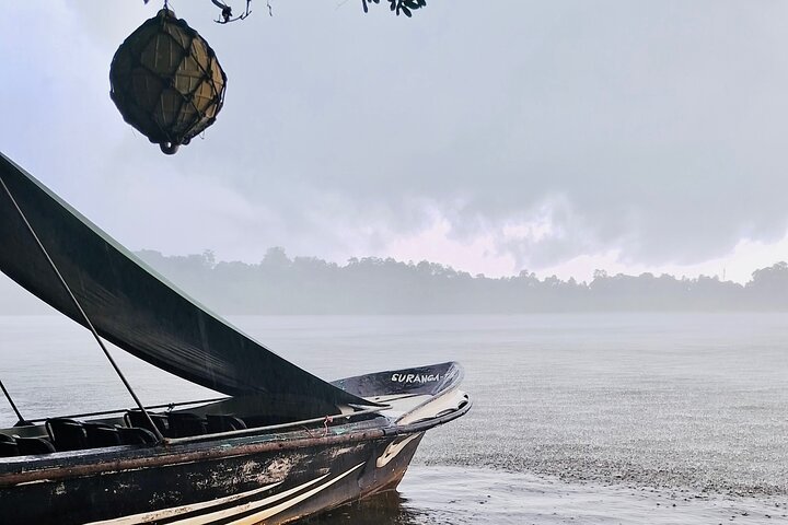 Southern Sri Lanka Sightseeing Day Trip From Colombo & Negombo