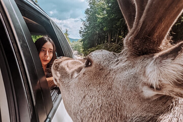 Ottawa Parc Omega Private Tour with Hotel Transfer