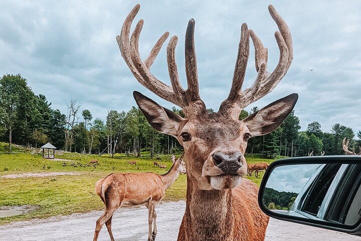 Ottawa Parc Omega Private Tour with Hotel Transfer