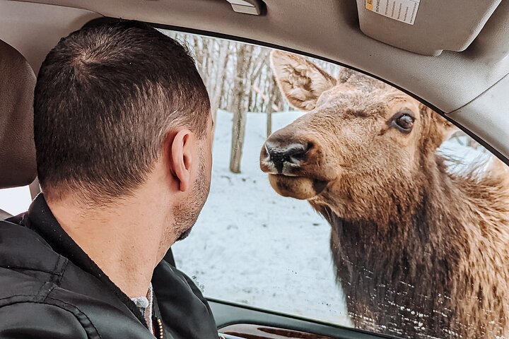 Ottawa Parc Omega Private Tour with Hotel Transfer