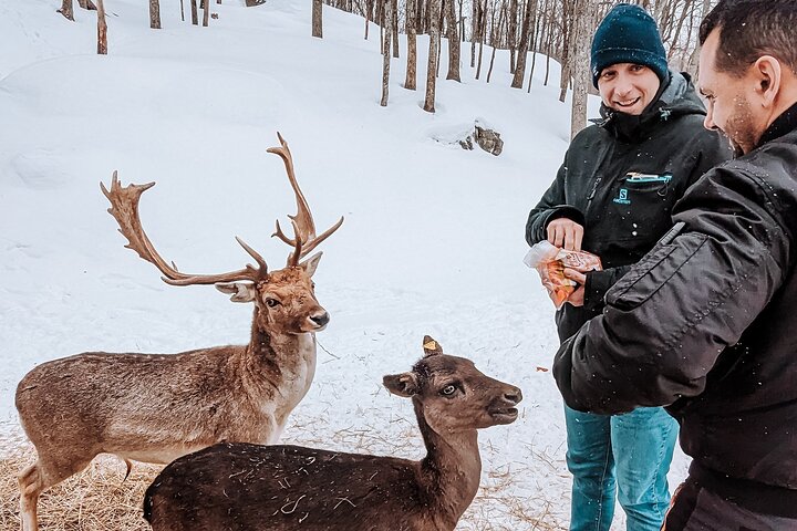 Ottawa Parc Omega Private Tour with Hotel Transfer