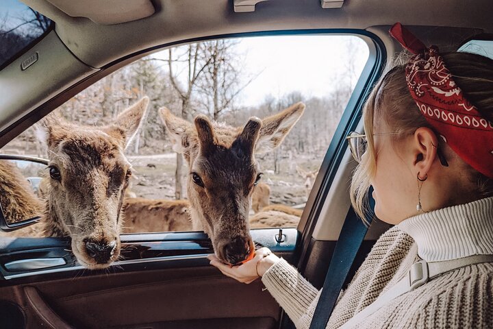 Ottawa Parc Omega Private Tour with Hotel Transfer