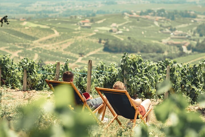 Private Half Day Wine Tour from Lyon in Beaujolais