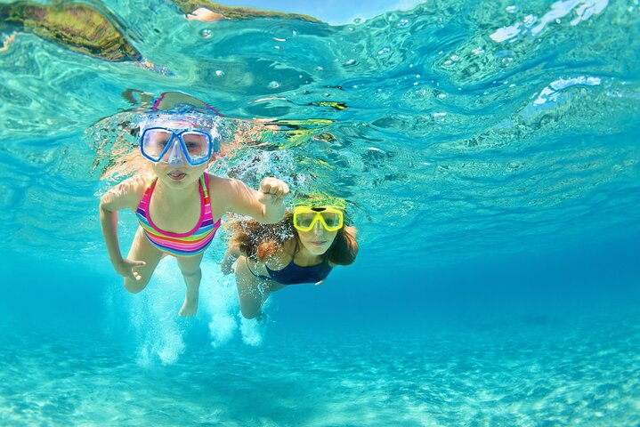 Ras Mohammed & White Island: Snorkel, Optional Dive & Lunch