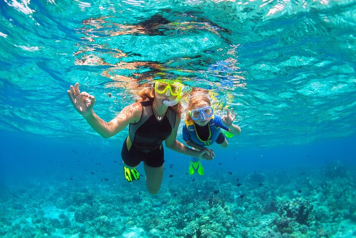 Ras Mohammed & White Island: Snorkel, Optional Dive & Lunch