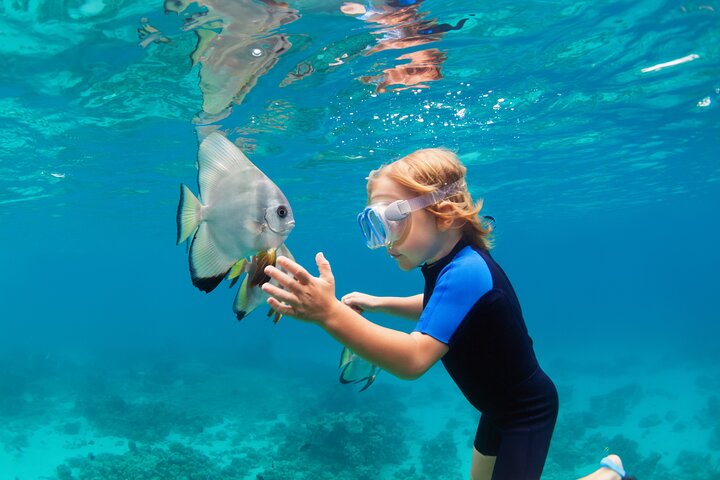 Ras Mohammed & White Island: Snorkel, Optional Dive & Lunch