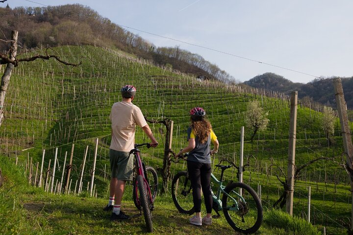 Valdobbiadene e-bike tour amongst vineyards UNESCO Prosecco Hills