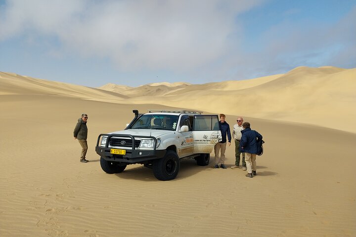Marine Dune Day: Catamaran Cruise and Sandwich Harbor Dune Drive