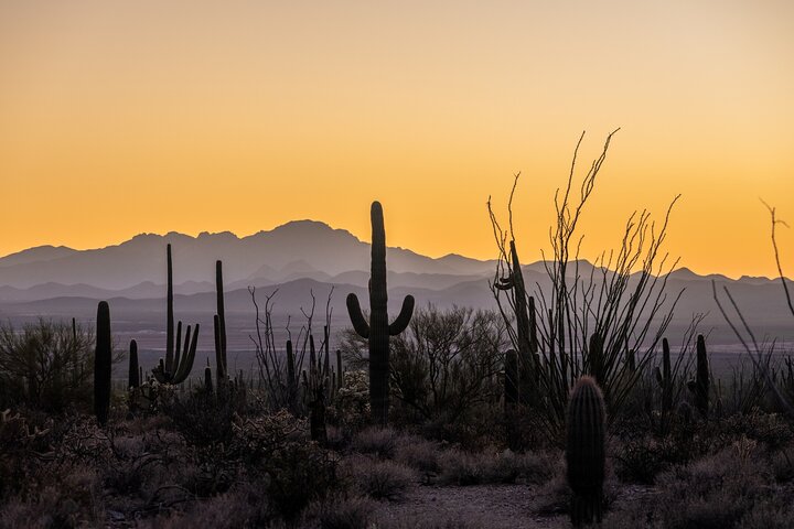 Saguaro National Park Self-Guided Audio Tour