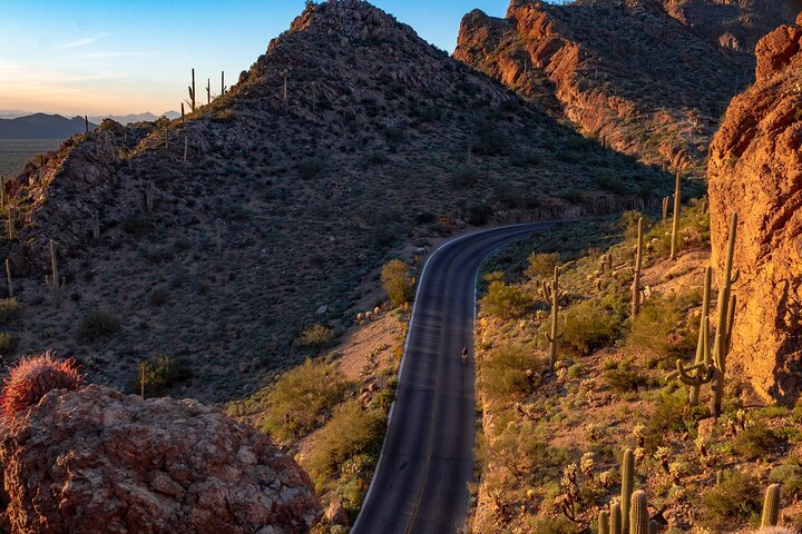 Saguaro National Park Self-Guided Audio Tour