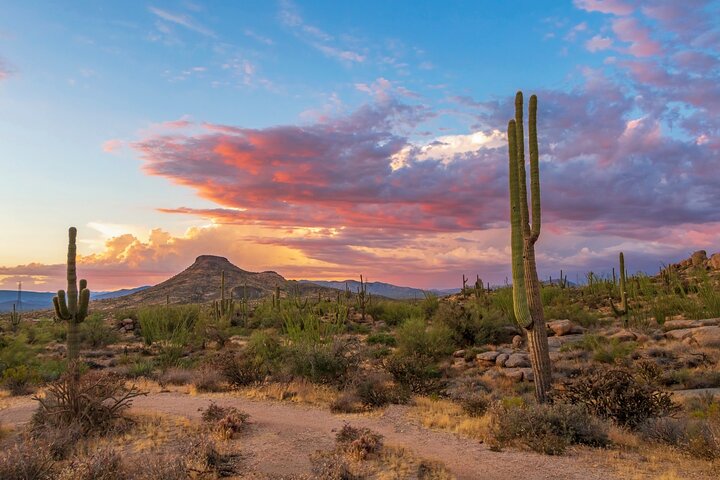 Saguaro National Park Self-Guided Audio Tour
