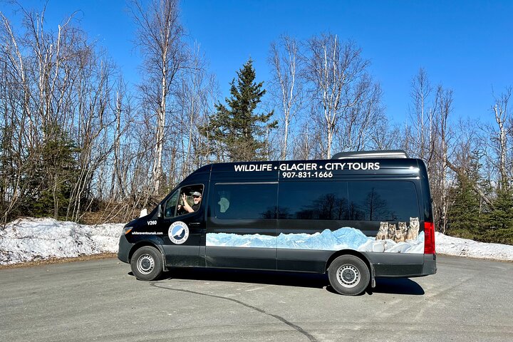 Whittier to Anchorage Half Day Transit Tour From the Port