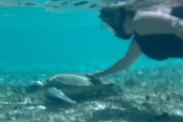Bahamas Sea Scooter Snorkeling Adventure