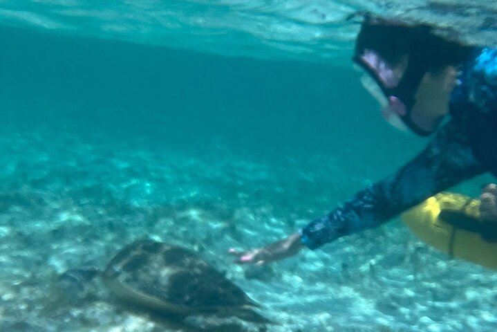 Bahamas Sea Scooter Snorkeling Adventure