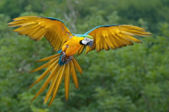 4 Days Cuyabeno Amazon Experience at Waita Lodge