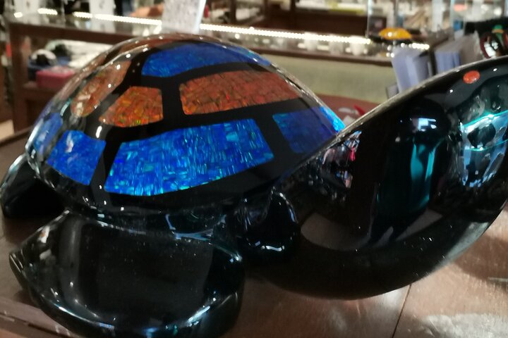 4 or 6Hr Discover Acapulco With a Fun Guide, Diver Show,Mex Lunch