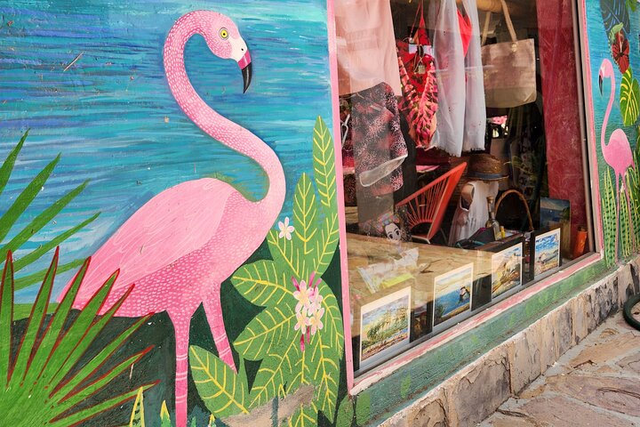 4 or 6Hr Discover Acapulco With a Fun Guide, Diver Show,Mex Lunch