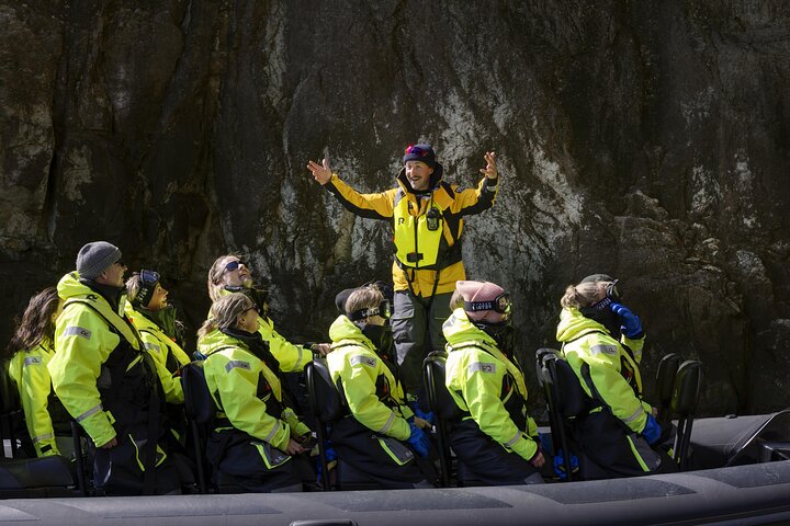 Lysefjord RIB Safari from Stavanger