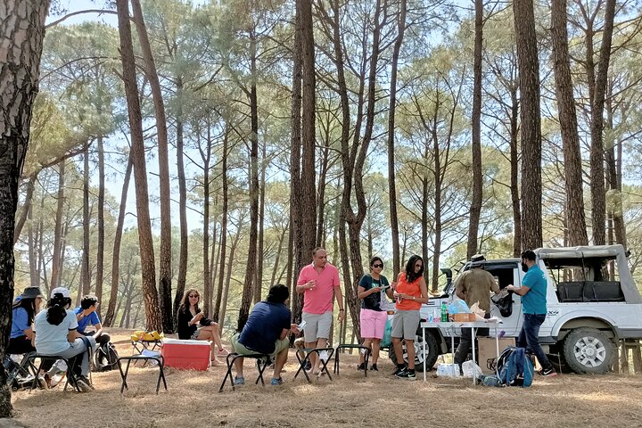 Jeep Safari and Picnic Tour