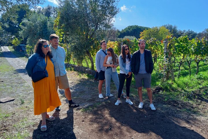 Private 6-Hour Tour of Three Etna Wineries with food&wine tasting
