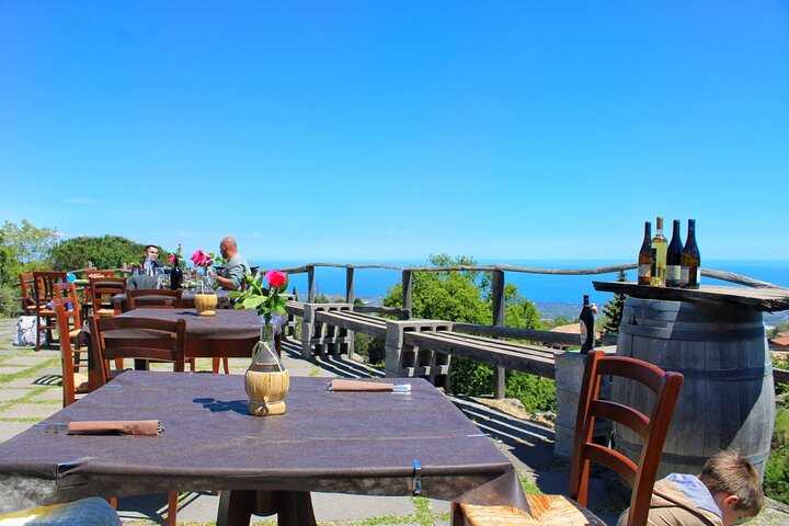 Private 6-Hour Tour of Three Etna Wineries with food&wine tasting