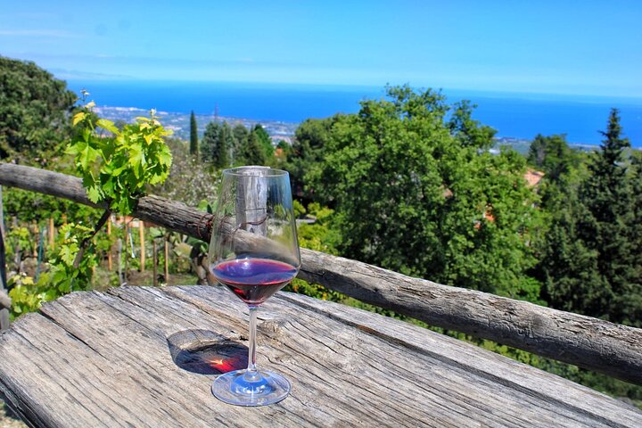 Private 6-Hour Tour of Three Etna Wineries with food&wine tasting