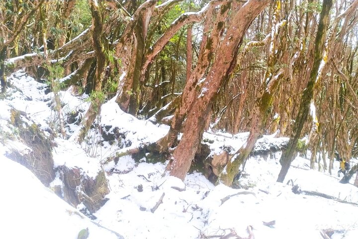 4 Day Mardi Himal Base Camp Trek from Pokhara