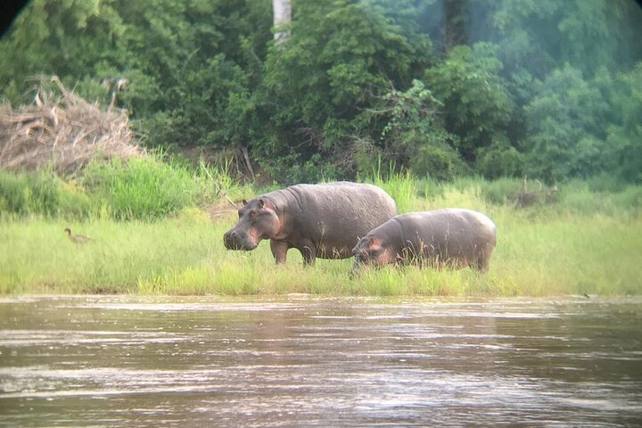 3 Days Selous (Nyerere National Park) Safari from Zanzibar & Back