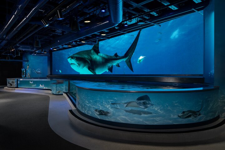 Audubon Aquarium and Insectarium Ticket