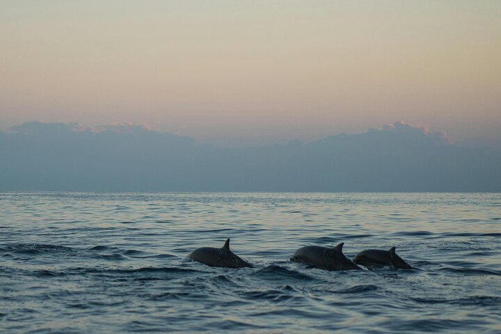 Cagliari Boat Tour with Sardatrips; Swim, Snorkeling, Sip & Snack