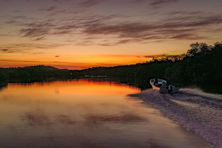 Romantic sunset tour in Río Lagartos, with food