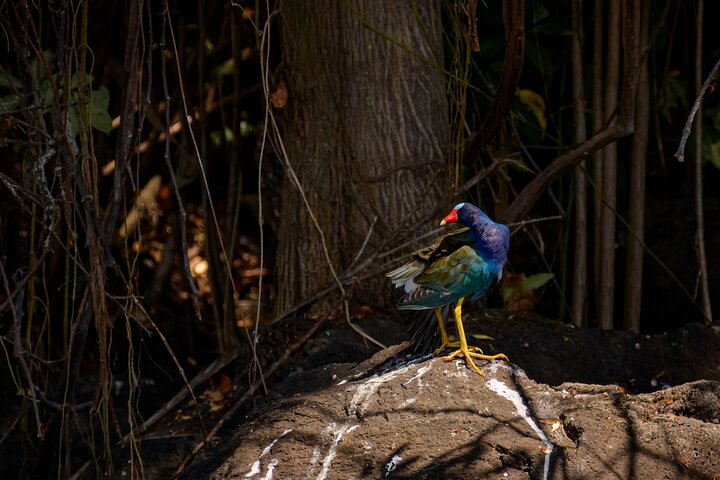 Nicaragua Full Day Tour from Costa Rica