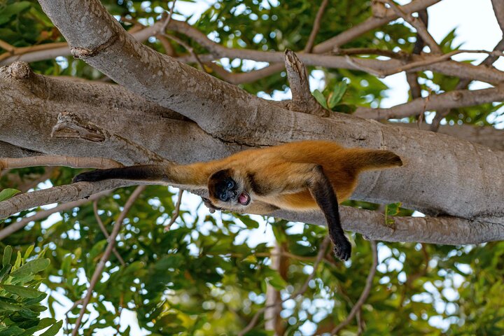 Nicaragua Full Day Tour from Costa Rica
