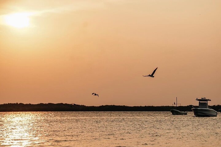 Romantic sunset tour in Río Lagartos, with food