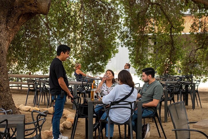 Tour Wine Route Guadalupe Valley & Port New Lobster