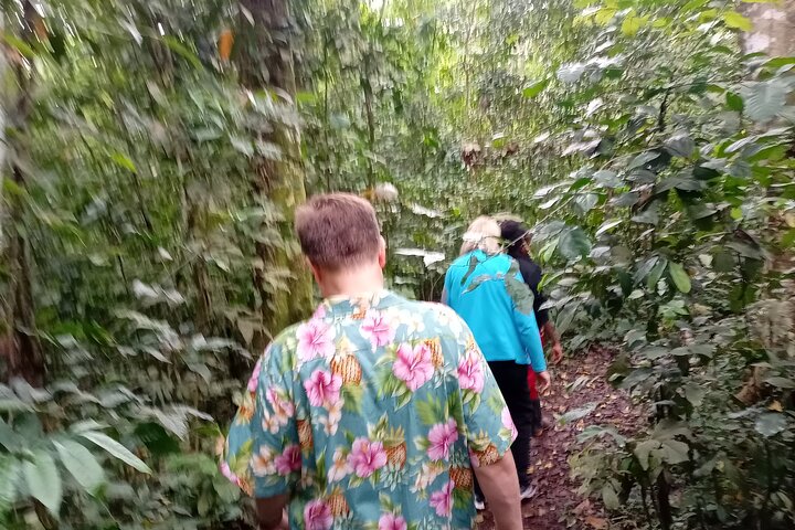 Best Jinja source of the River Nile day experience