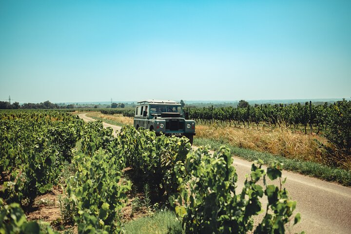 Private Half Day Wine Tour from Lyon in Beaujolais
