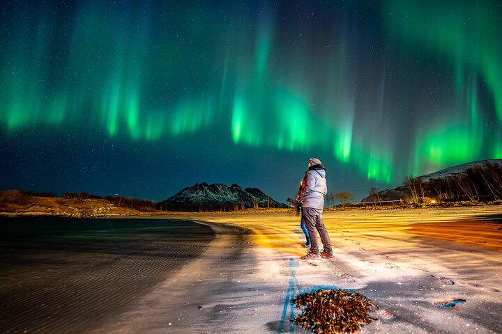 Northern Lights Tours Bodo Norway
